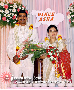 Gince Asha Wedding Reception Photos Pala Kerala